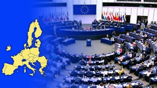 Grafik EU-Länder und Blick ins Europa Parlament