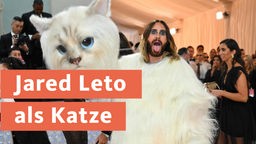 Jared Leto als Katze 