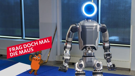 Humanoider Roboter "Atlas"